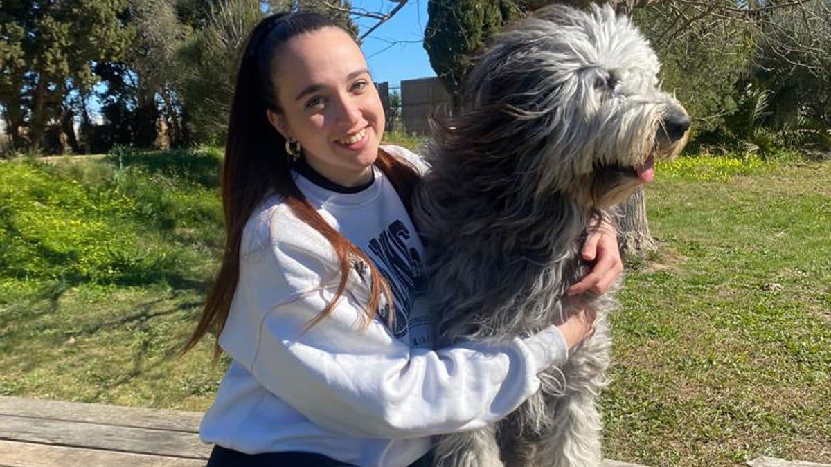 Gestión emocional en perros: por qué la obediencia no basta