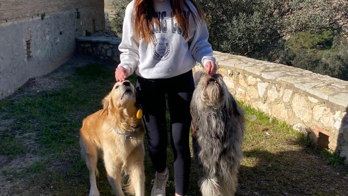 Mi perro tira de la correa: por qué lo hace y cómo enseñarle a pasear