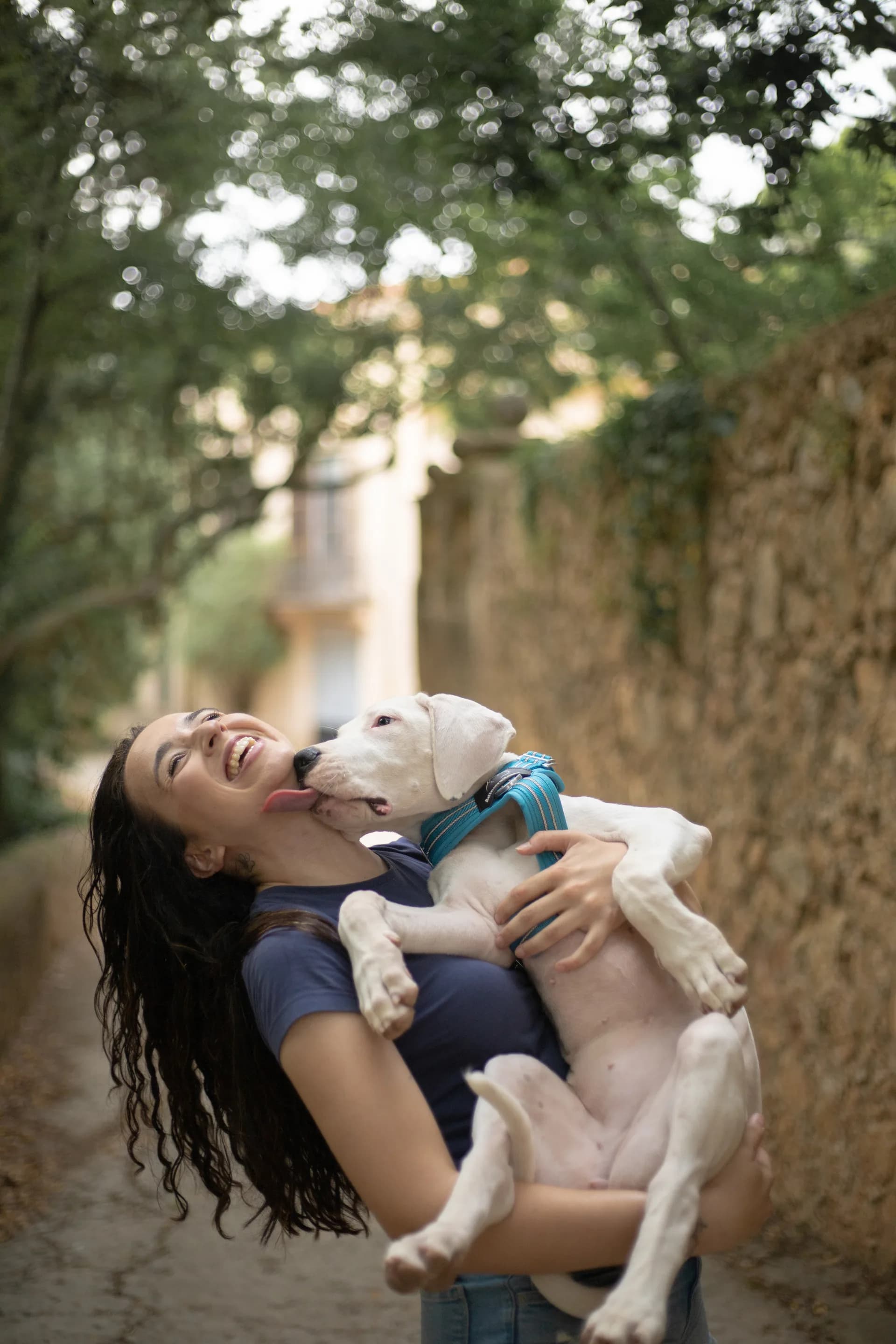 Conecta con tu Cachorro