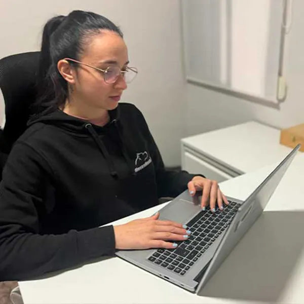 Adiestramiento online
