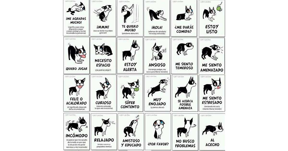 Lenguaje corporal en perros: cómo entender las señales que tu perro te envía