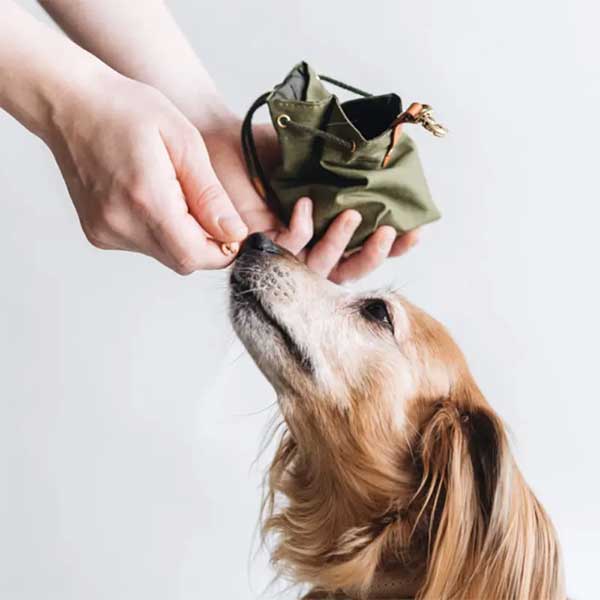 Bolsa de Premios para Adiestramiento de Perros TrainMente — Con Cinturón