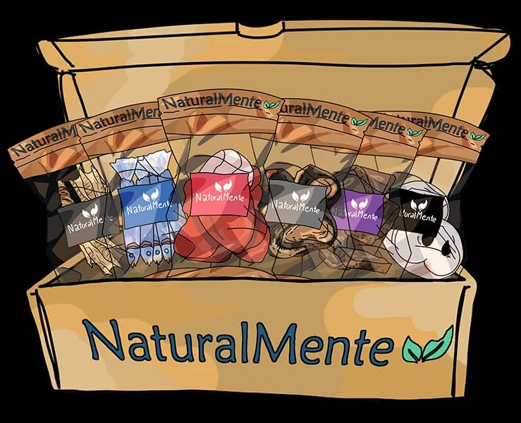 Caja de Masticables Naturales para Perros — 6 bolsitas variadas