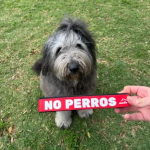 Etiqueta de aviso para correa de perro — No tocar · Adóptame · No perros - No perros