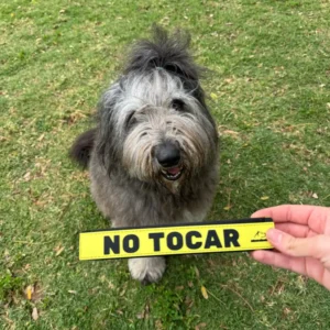 Etiqueta de aviso para correa de perro — No tocar · Adóptame · No perros - No tocar