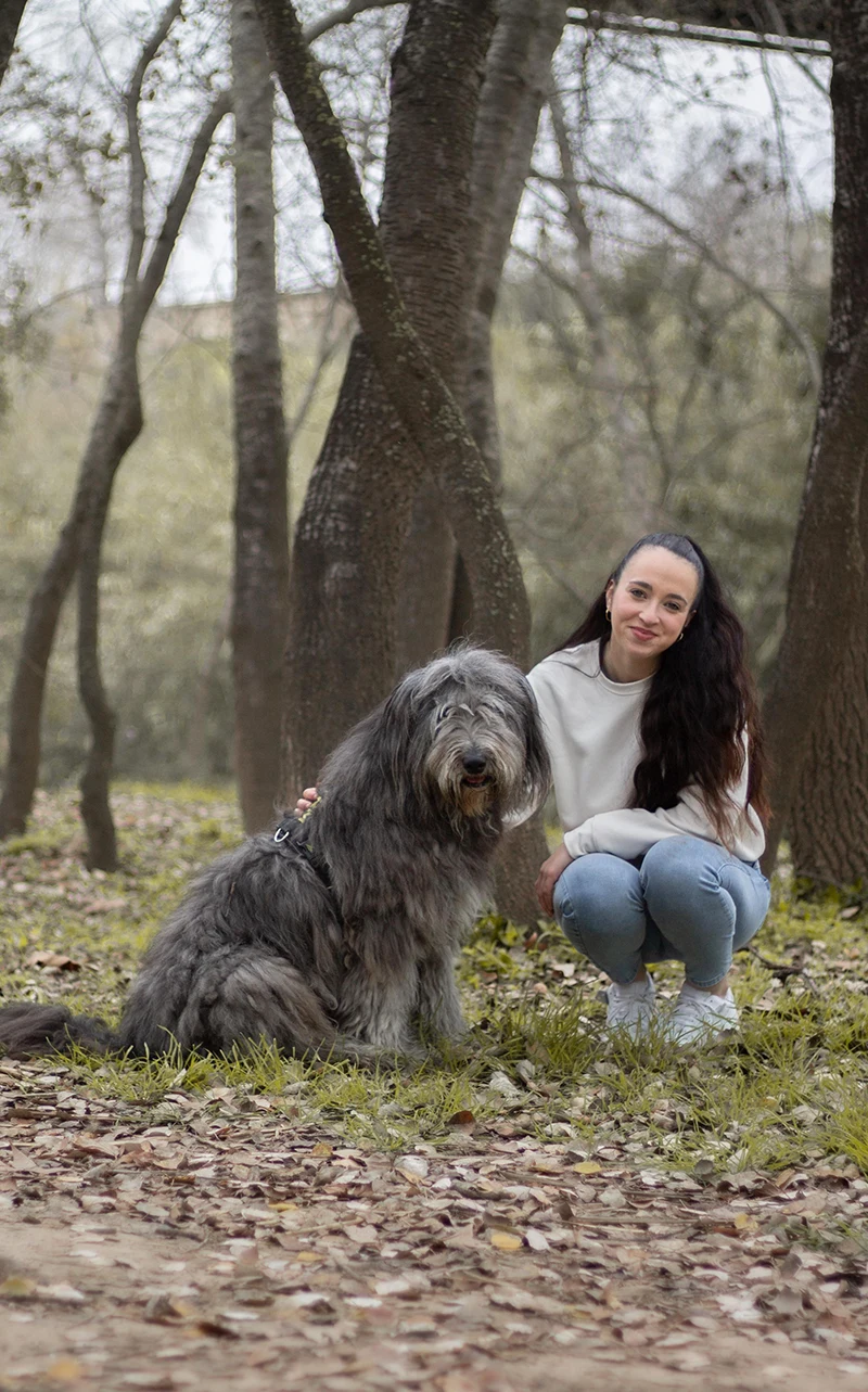 curso online para perros adultos cachorros<br />