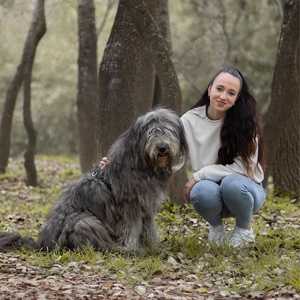 adiestrador cachorros alzira